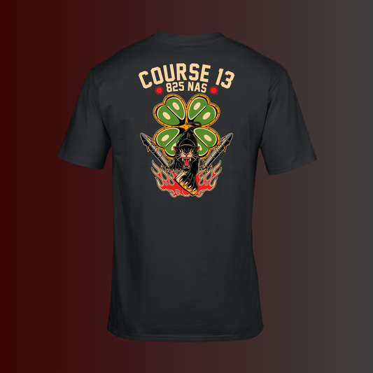 Custom Design for 825 NAS, Course 13