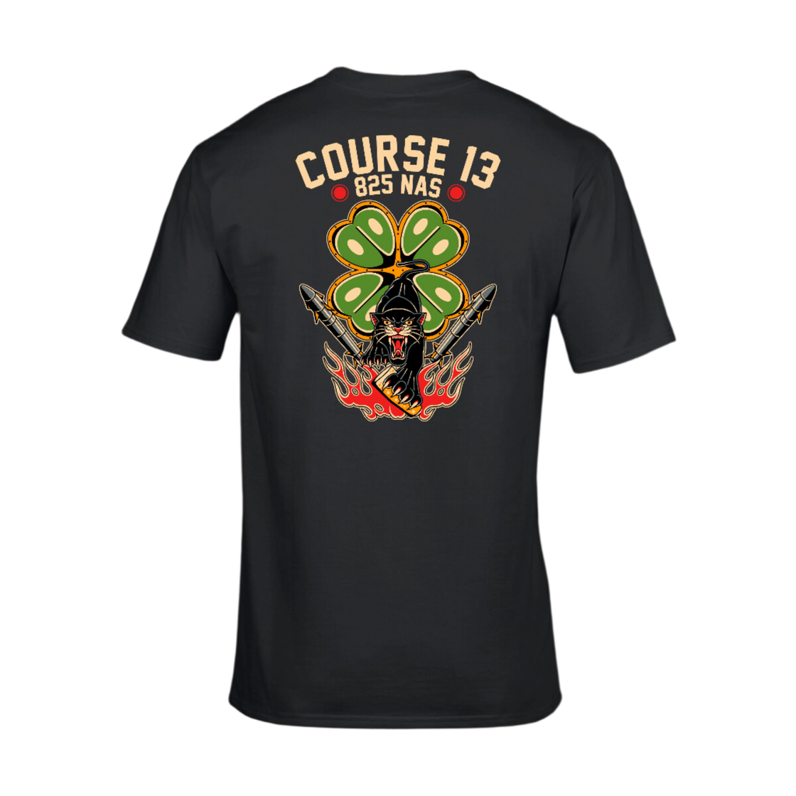 Custom Design for 825 NAS, Course 13